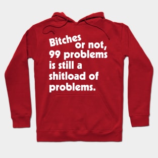 Bitches or Not, 99 Problems is Still a Shitload of Problems Hoodie